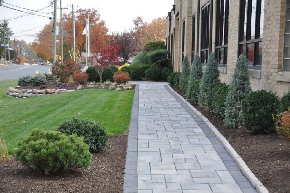Local yard maintenance for year-round maintenance across Union, NJ - Landscape Solutions