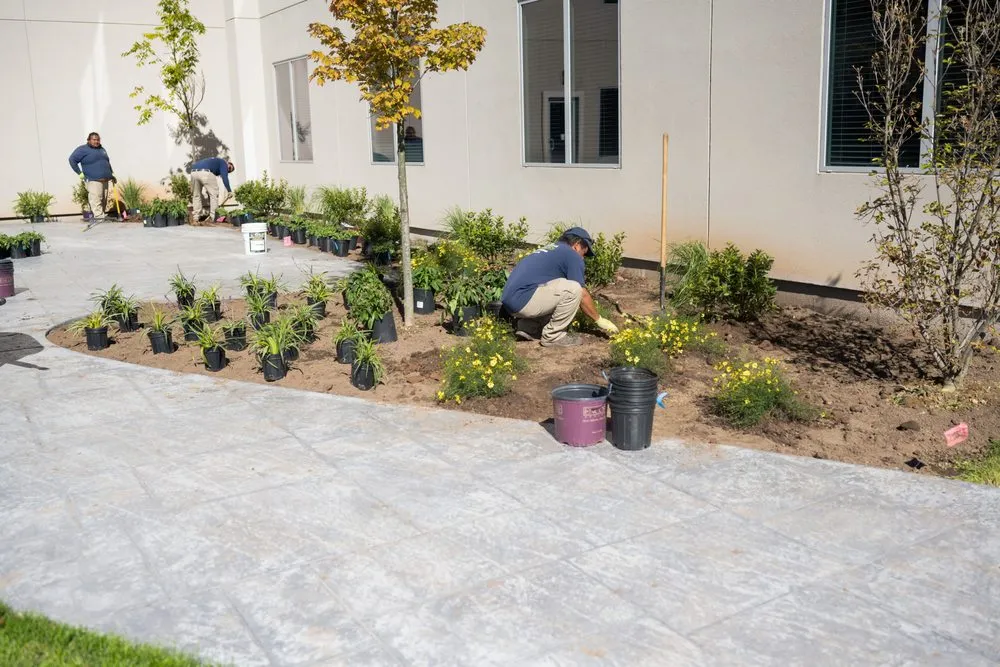 Trusted garden landscaping experts serving Union, NJ - Landscape Solutions