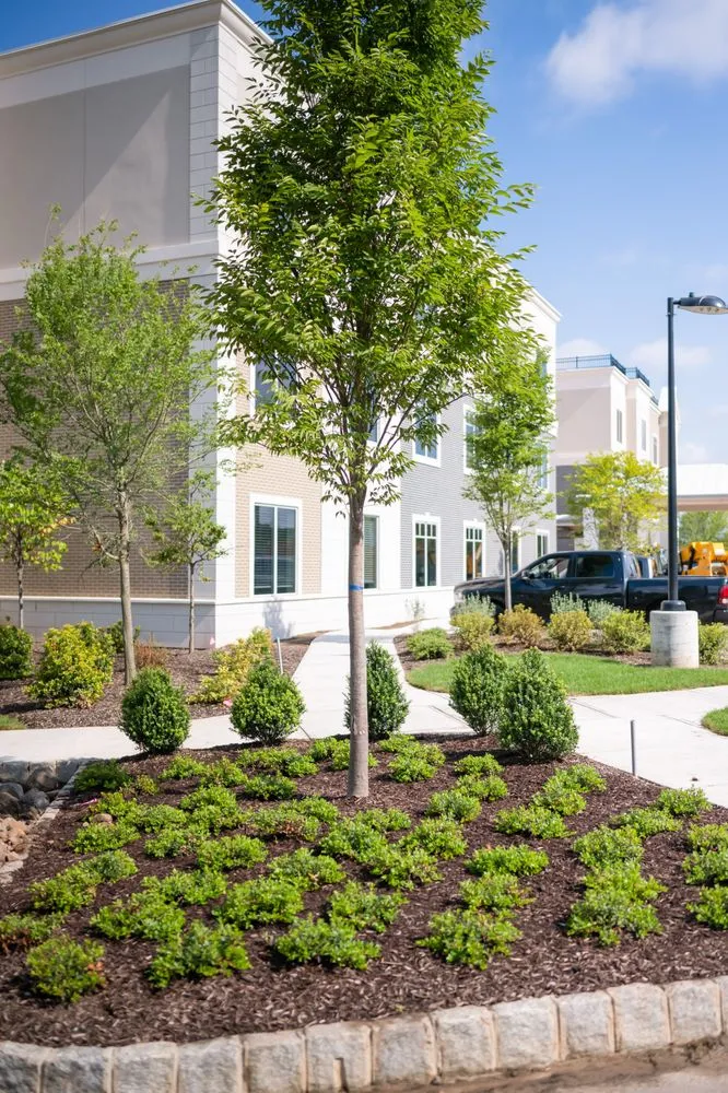 Professional lawn care service in Union, NJ - Landscape Solutions