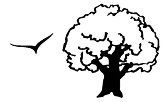 Trusted yard cleanup service for beautiful yards across Wilmington, IL - Landscape Specialties Of Shorewood