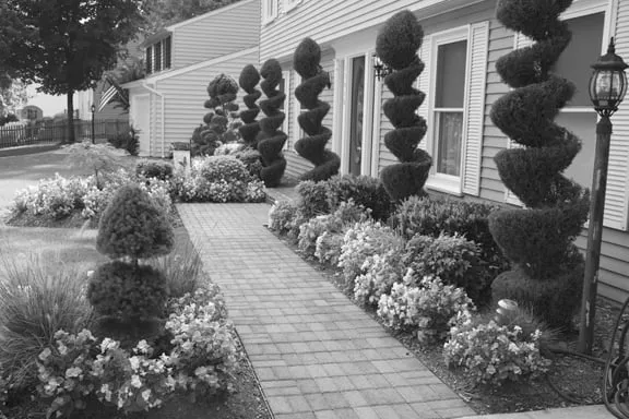 Local landscape design for residential properties in Wilmington, IL by Landscape Specialties Of Shorewood