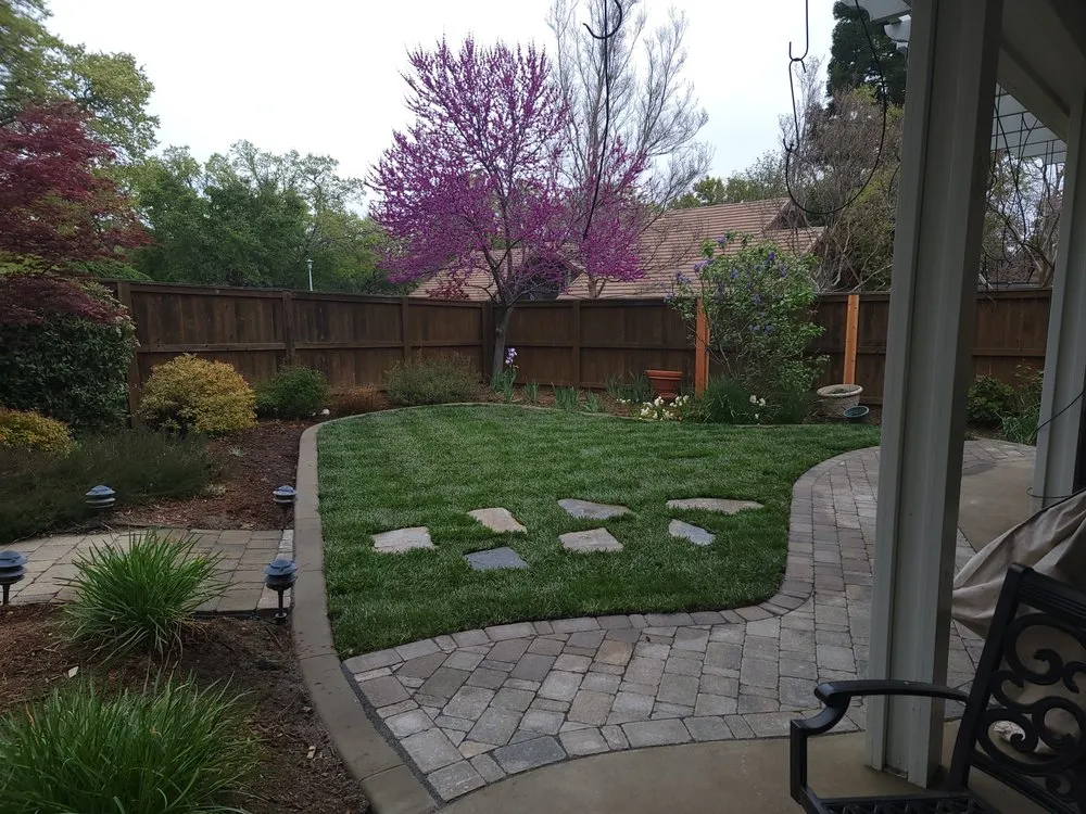 Expert outdoor landscaping for year-round maintenance across Carmichael, CA - Landscape Spray Solutions