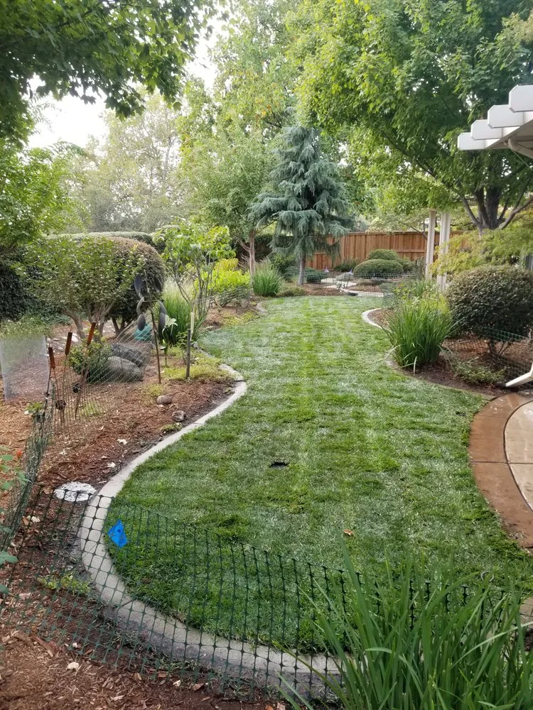 Reliable outdoor landscaping in Carmichael, CA by Landscape Spray Solutions