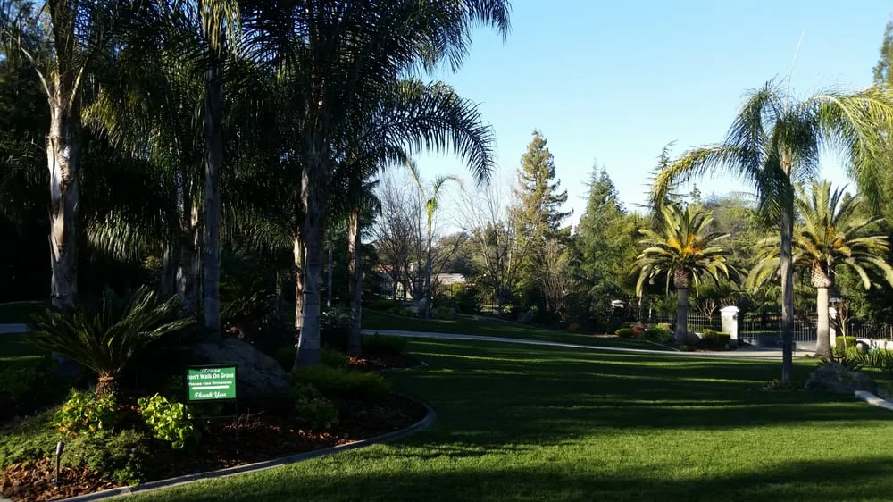 Local lawn mowing service experts serving Carmichael, CA - Landscape Spray Solutions