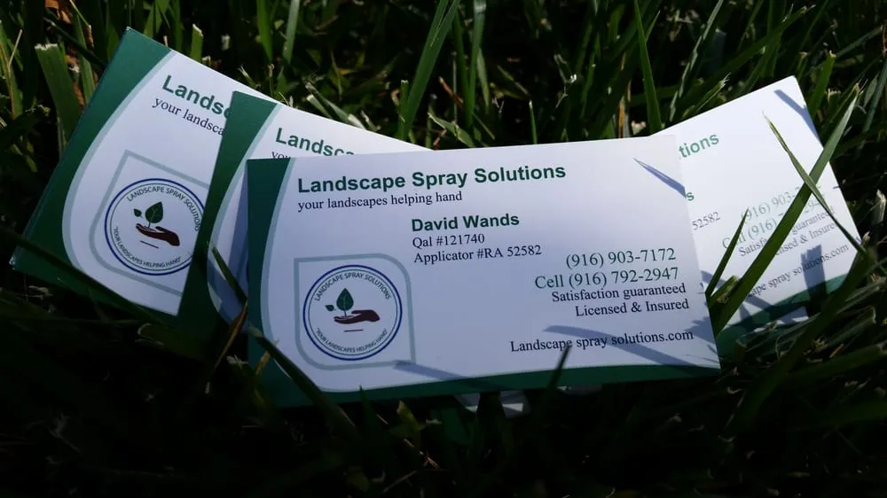 Custom landscape design in Carmichael, CA by Landscape Spray Solutions