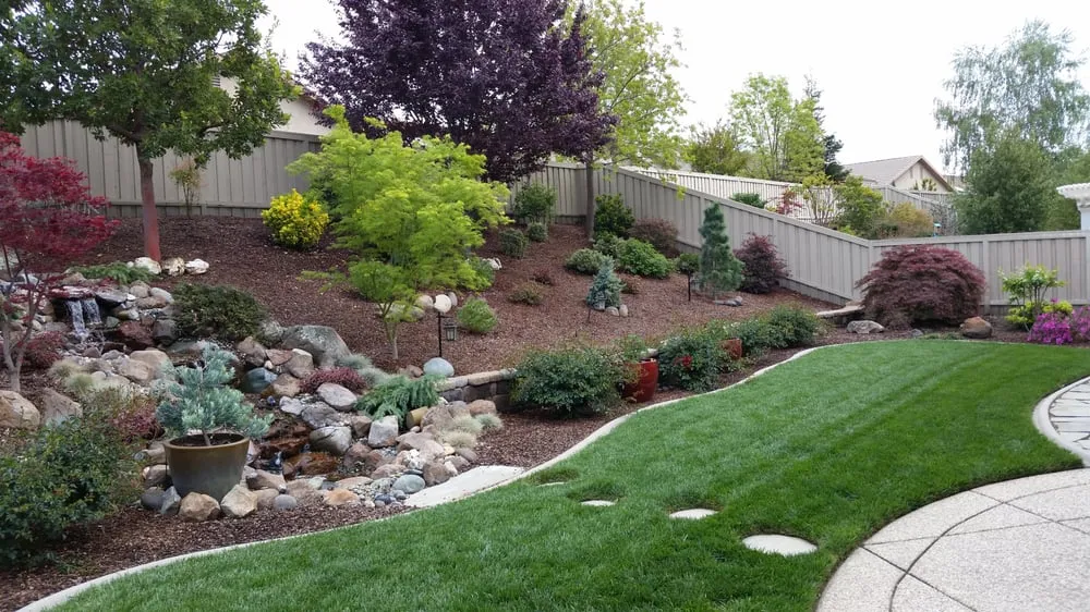 Professional landscape installation experts serving Carmichael, CA - Landscape Spray Solutions