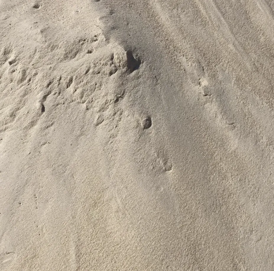 Professional lawn mowing service in Jasper, GA by Landscape Supply Of GA