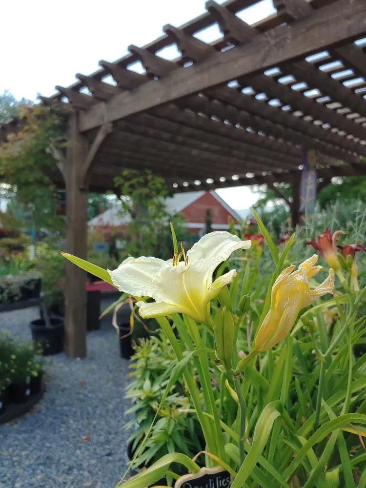 Local landscape installation experts serving Draper, UT - Landscape Supply of Utah