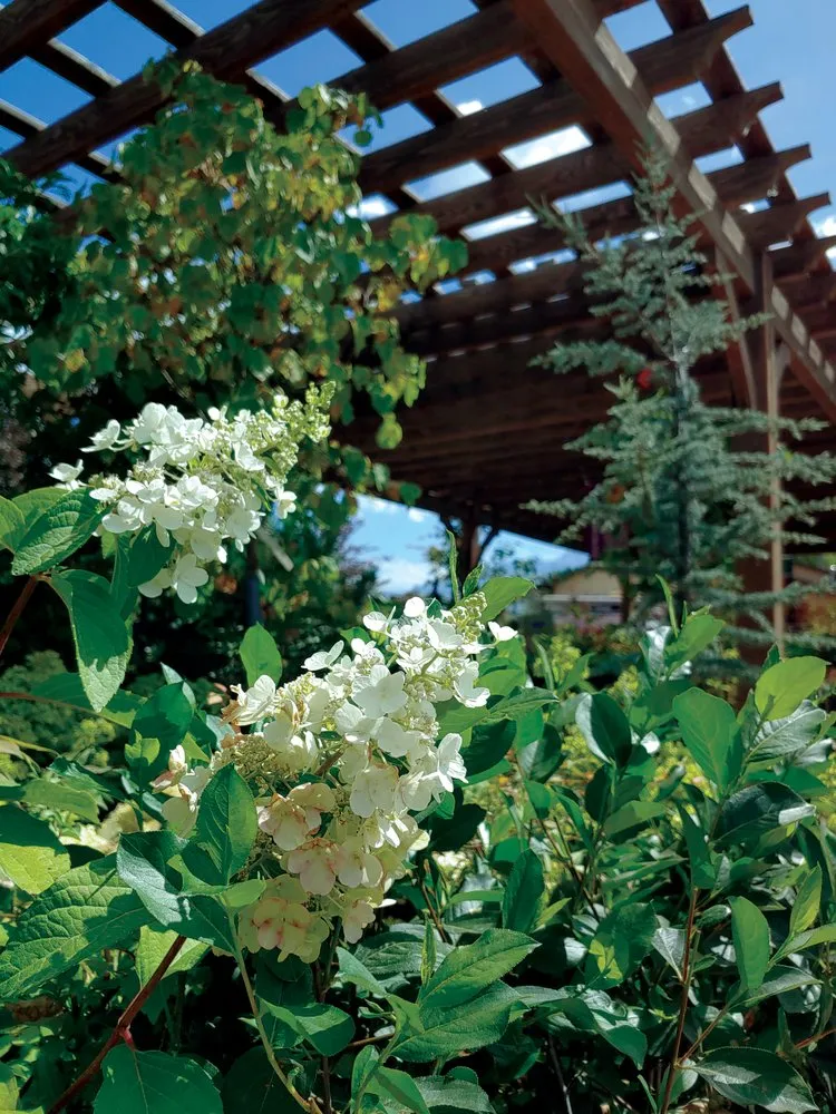 Top-rated outdoor landscaping for residential properties across Draper, UT - Landscape Supply of Utah