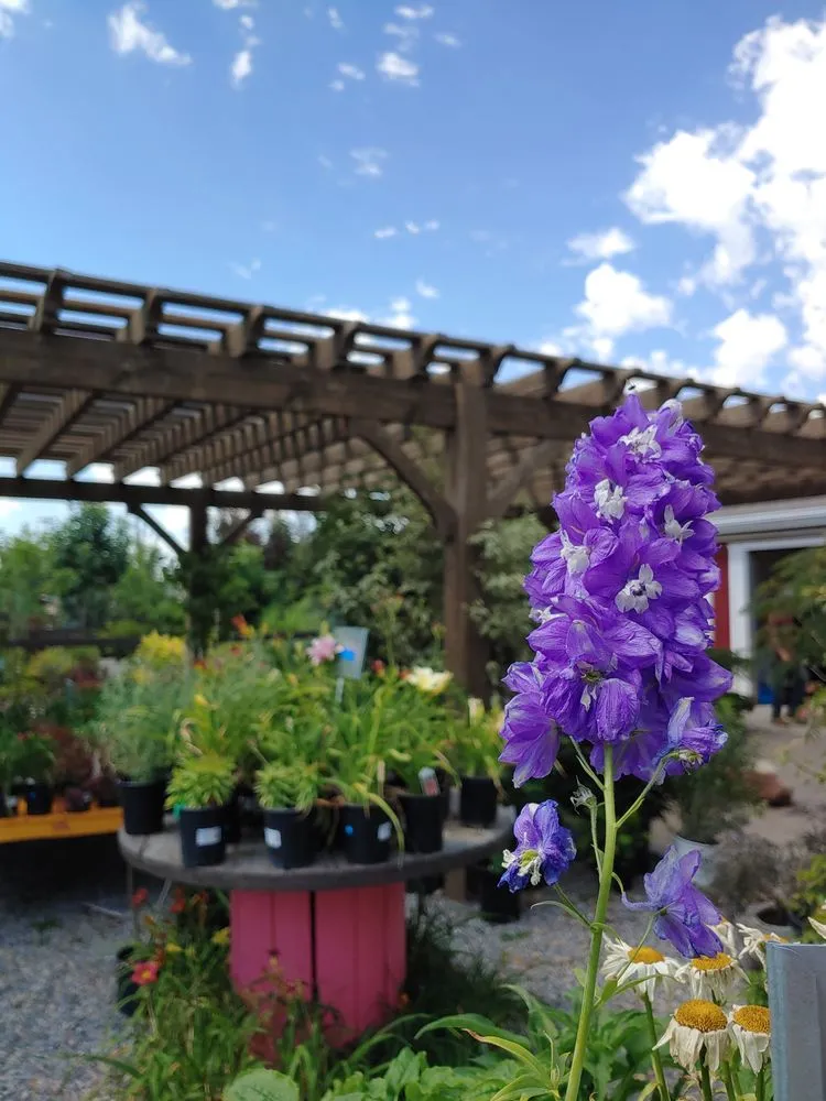 Affordable landscape installation in Draper, UT - Landscape Supply of Utah