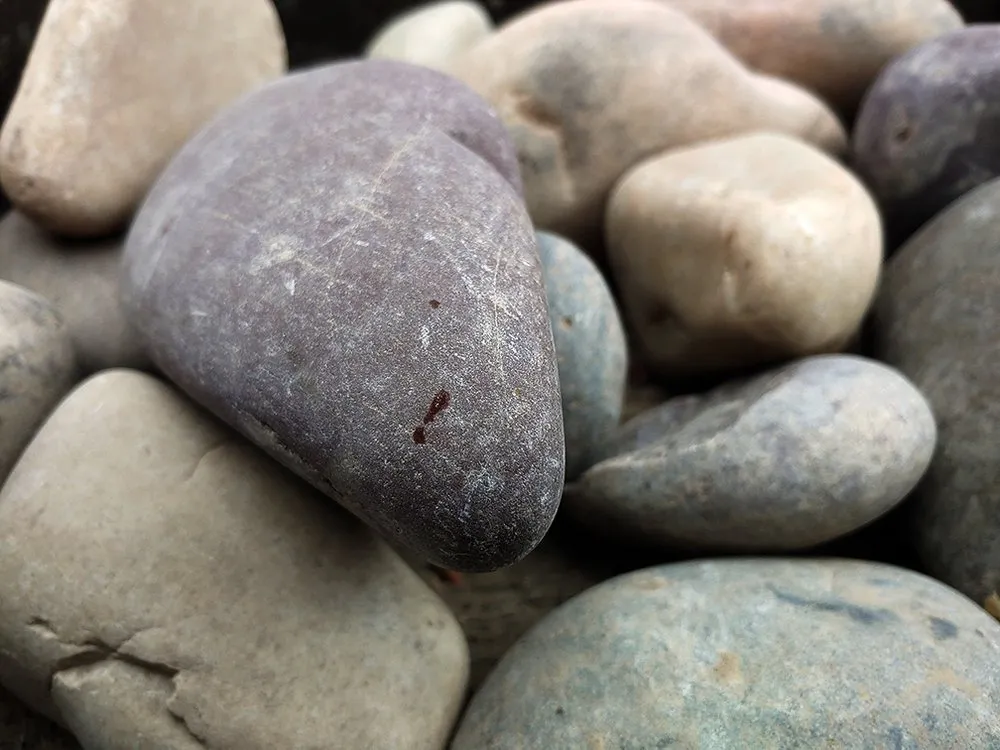 Top-rated yard cleanup service in Draper, UT - Landscape Supply of Utah