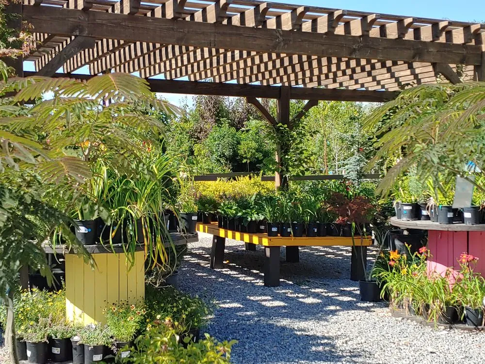 Expert yard cleanup service in Draper, UT by Landscape Supply of Utah