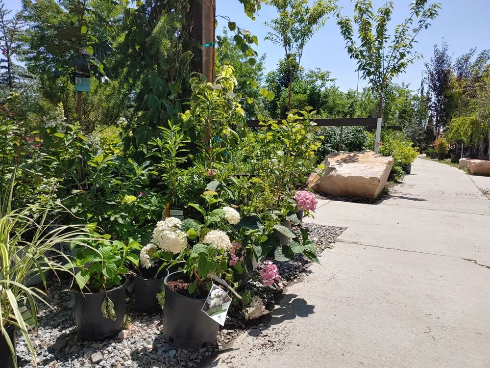 Trusted yard cleanup service in Draper, UT by Landscape Supply of Utah