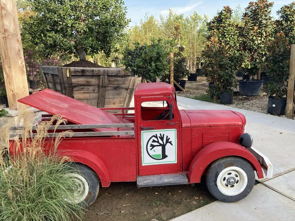 Reliable lawn mowing service experts serving Keller, TX - Landscape Systems Garden Center