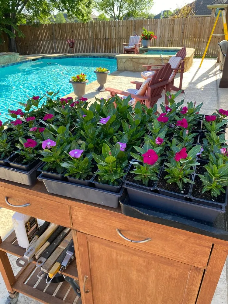 Professional yard cleanup service for beautiful yards in Keller, TX by Landscape Systems Garden Center