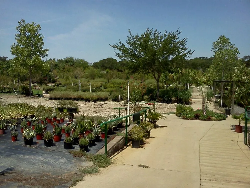 Expert garden landscaping in Keller, TX by Landscape Systems Garden Center