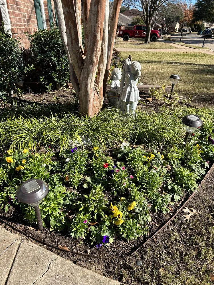 Professional yard cleanup service in Keller, TX by Landscape Systems Garden Center