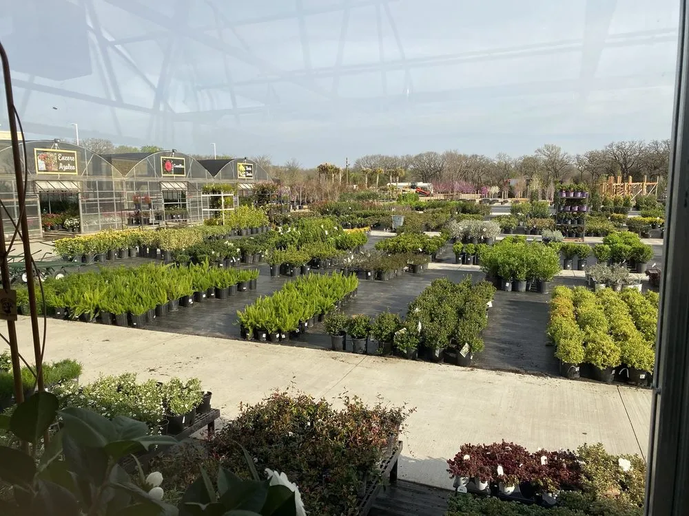 Top-rated yard cleanup service experts serving Keller, TX - Landscape Systems Garden Center