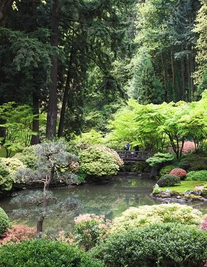 Professional landscape design in Norman, OK - Landscape Systems