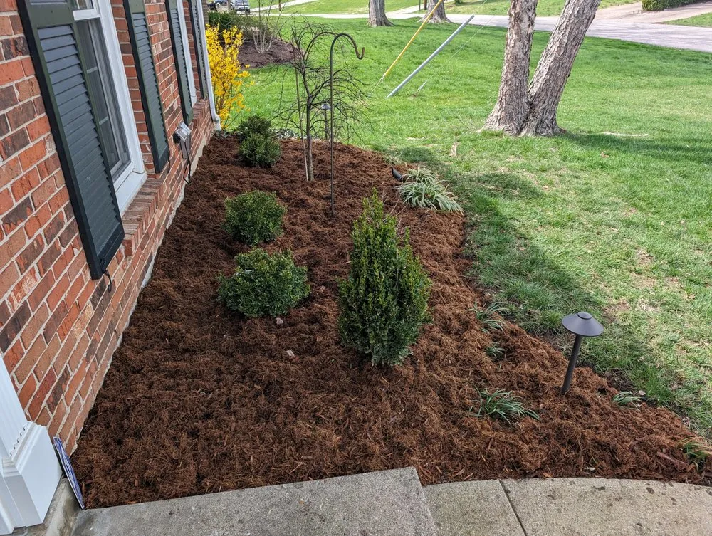 Reliable landscape design for year-round maintenance across Goshen, KY - Landscape Technique LLC.