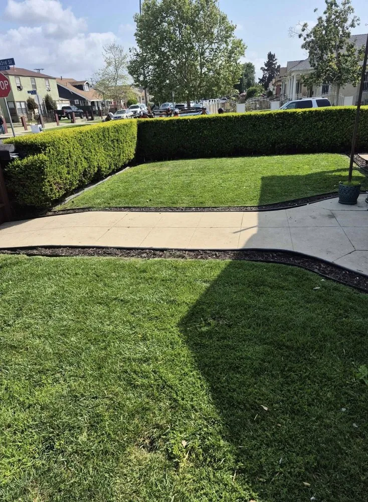 Affordable landscape installation experts serving San Pedro, CA - Landscape The Cat