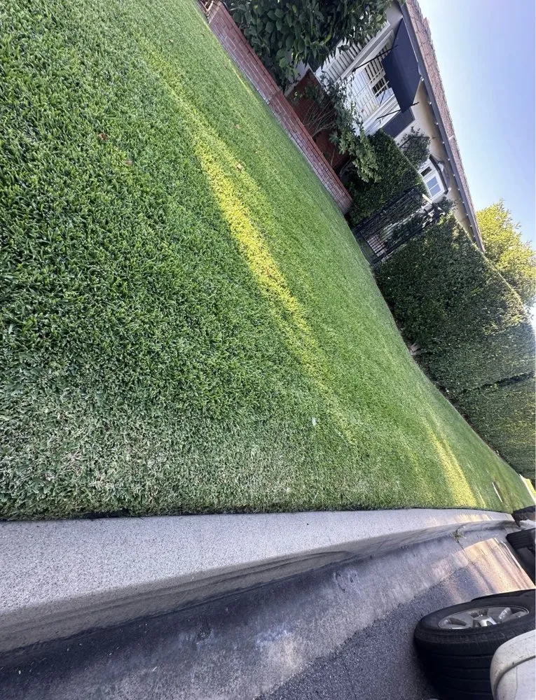 Top-rated landscape design for homes in San Pedro, CA by Landscape The Cat