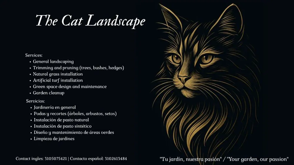 Professional yard cleanup service near you in San Pedro, CA by Landscape The Cat