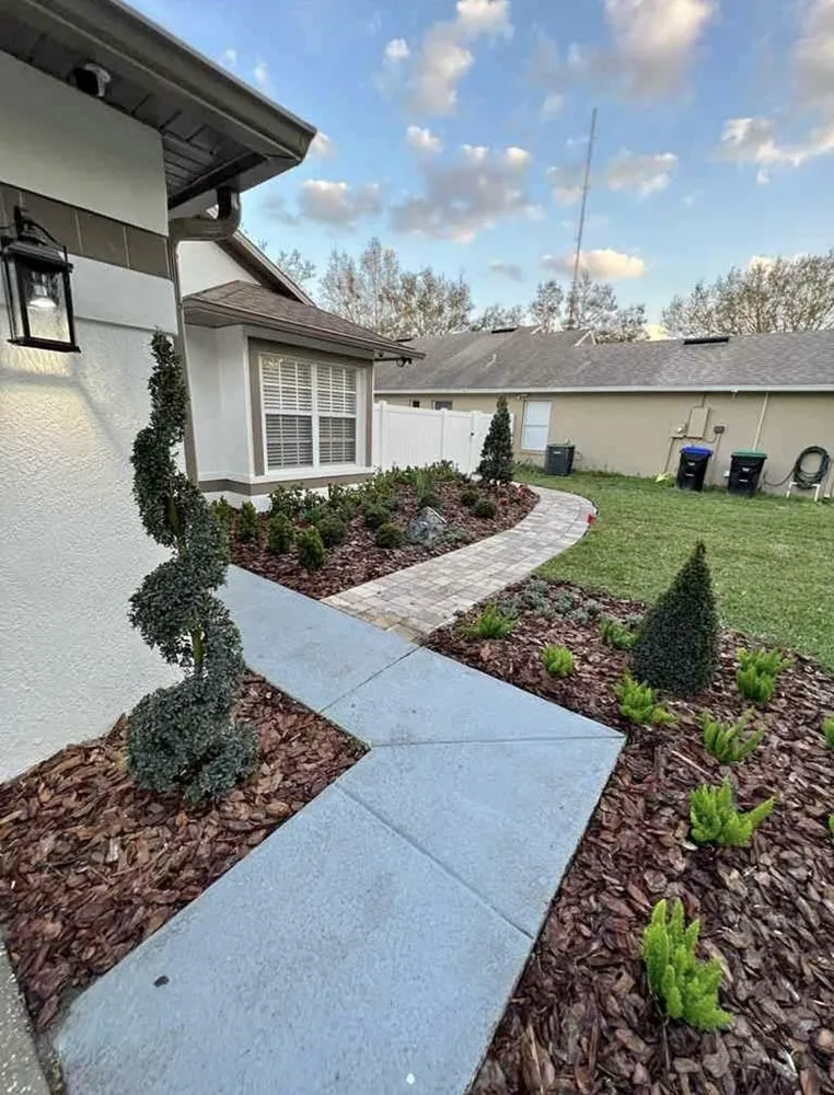 Professional residential landscaping experts serving San Pedro, CA - Landscape The Cat