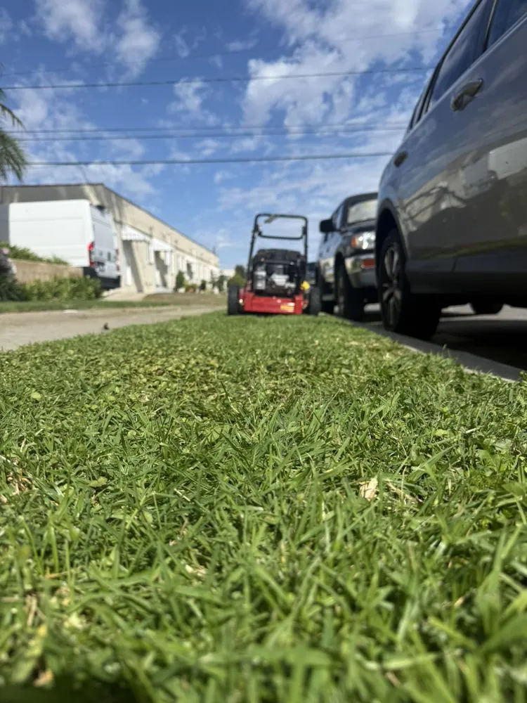 Expert lawn mowing service experts serving San Pedro, CA - Landscape The Cat