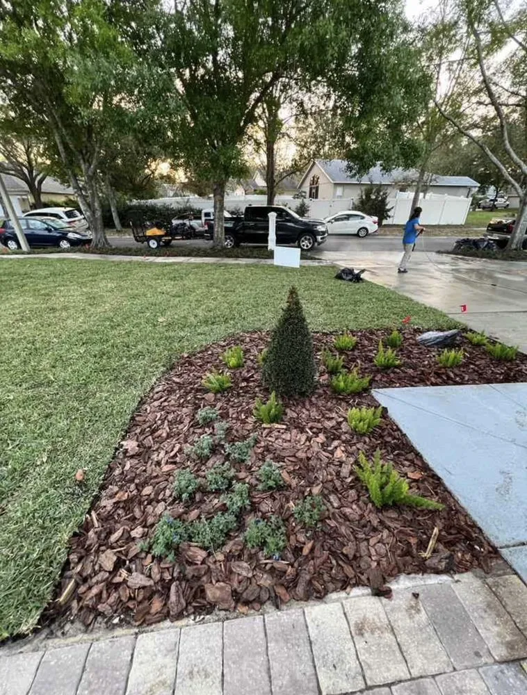 Professional outdoor landscaping for beautiful yards in San Pedro, CA by Landscape The Cat