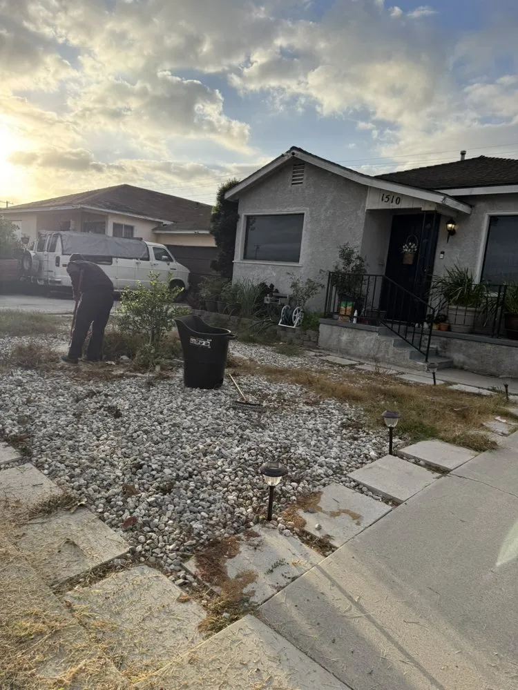 Top-rated landscape design in San Pedro, CA by Landscape The Cat