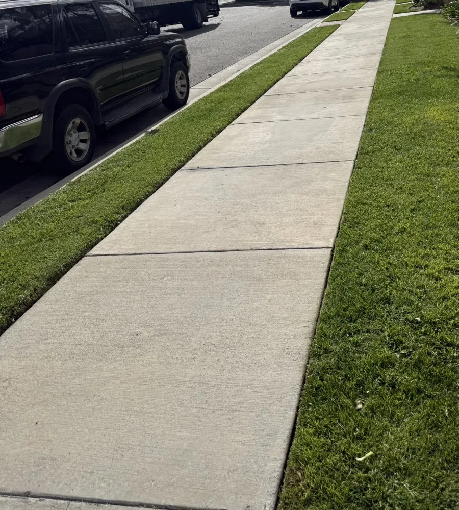 Local residential landscaping near you in San Pedro, CA by Landscape The Cat