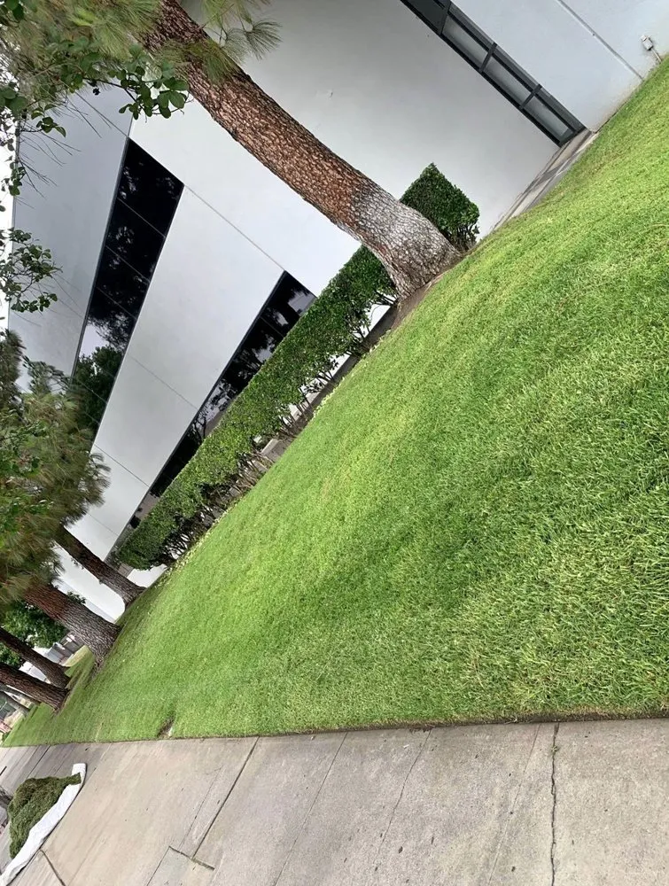 Reliable lawn mowing service in San Pedro, CA - Landscape The Cat