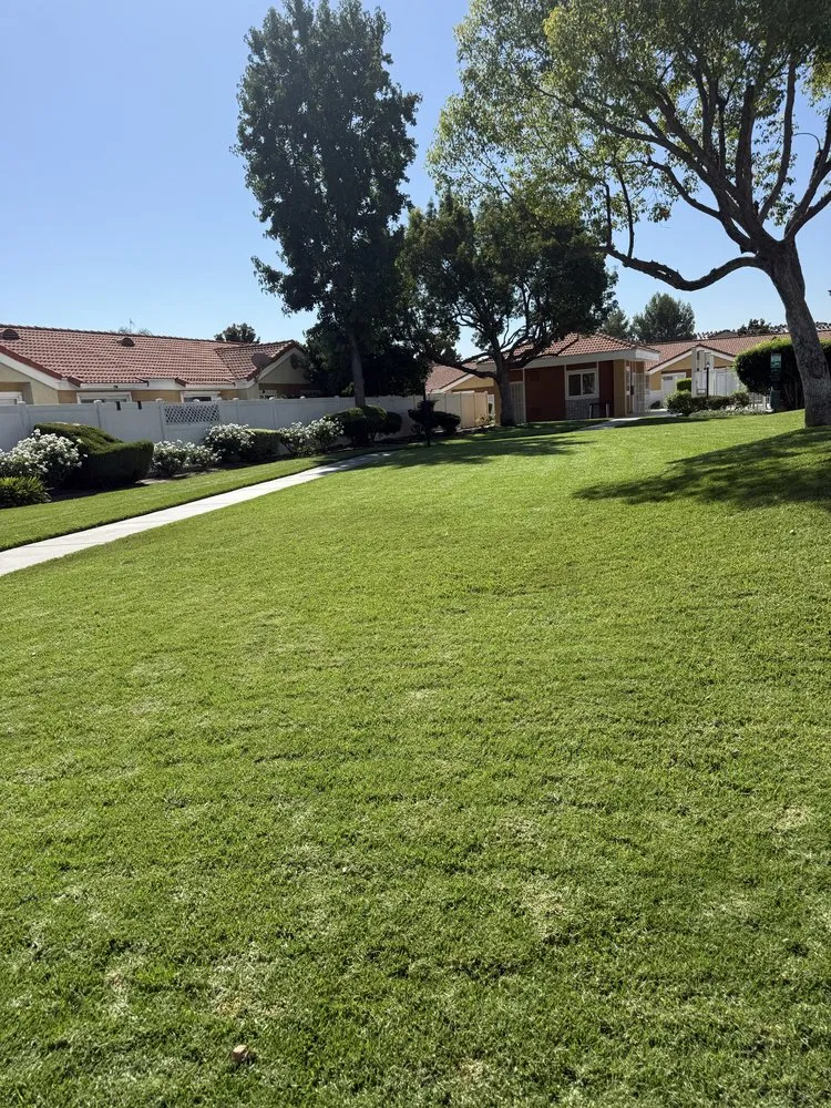 Professional outdoor landscaping experts serving San Pedro, CA - Landscape The Cat