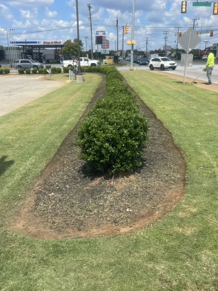 Reliable garden landscaping in Greenville, SC by Landscape The Flyer