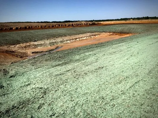 Landscape the South Logo