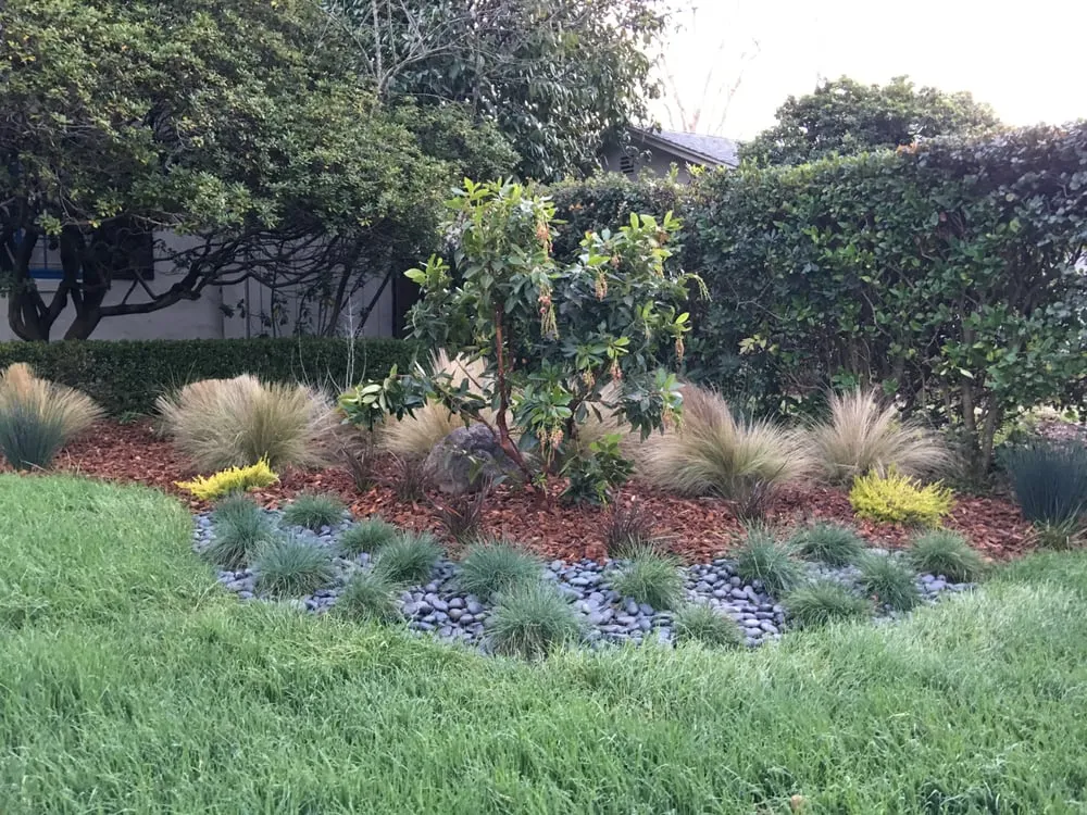 Custom outdoor landscaping for homes in Sunnyvale, CA by Landscape Therapist