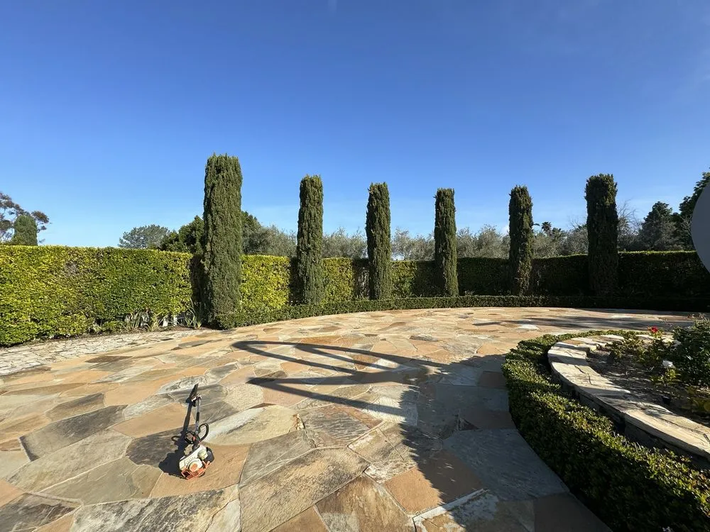 Reliable yard maintenance for residential properties across Oceanside, CA - Landscape To Paradise