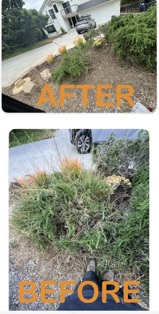 Local outdoor landscaping for homes in Oceanside, CA by Landscape To Paradise