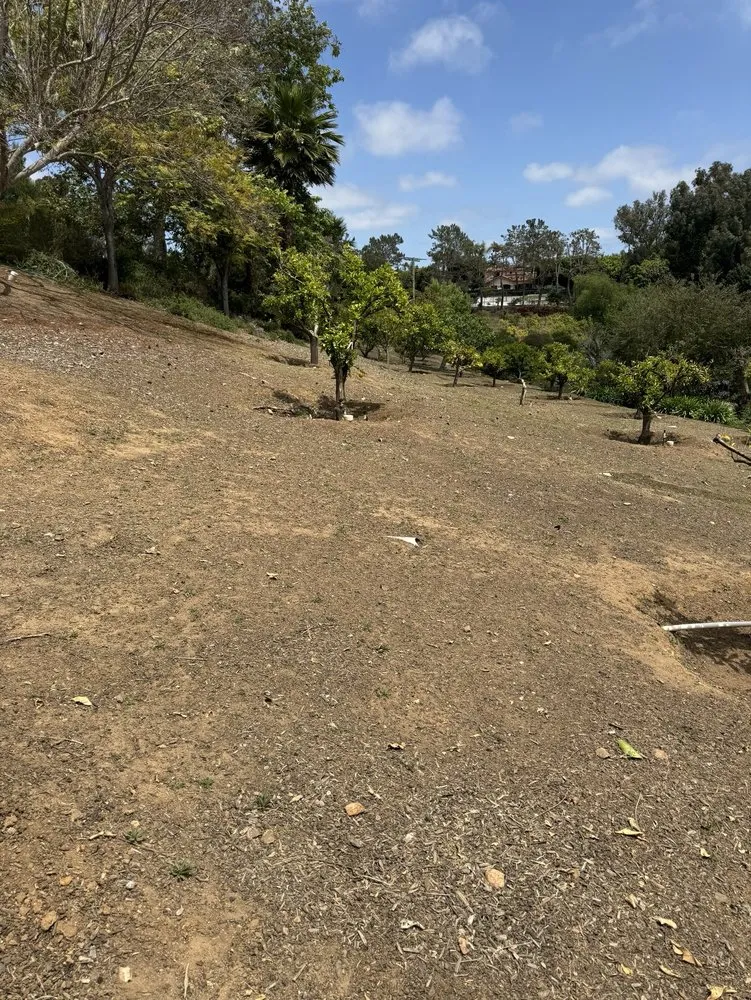 Reliable landscape design in Oceanside, CA - Landscape To Paradise