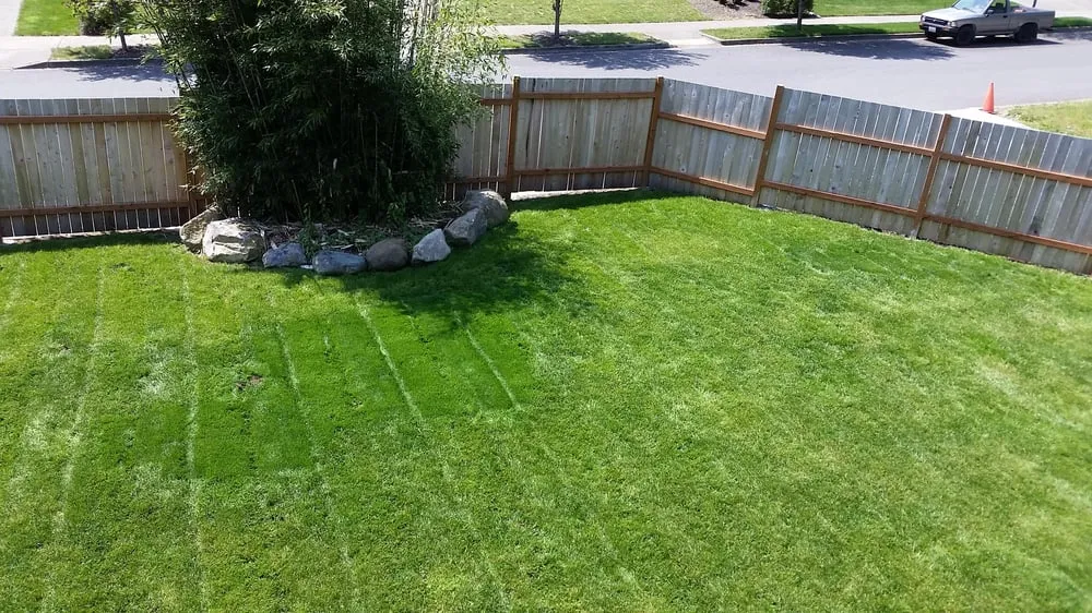 Professional yard maintenance experts serving Kirkland, WA - Landscape To Perfection