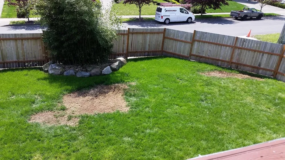 Reliable residential landscaping near you across Kirkland, WA - Landscape To Perfection