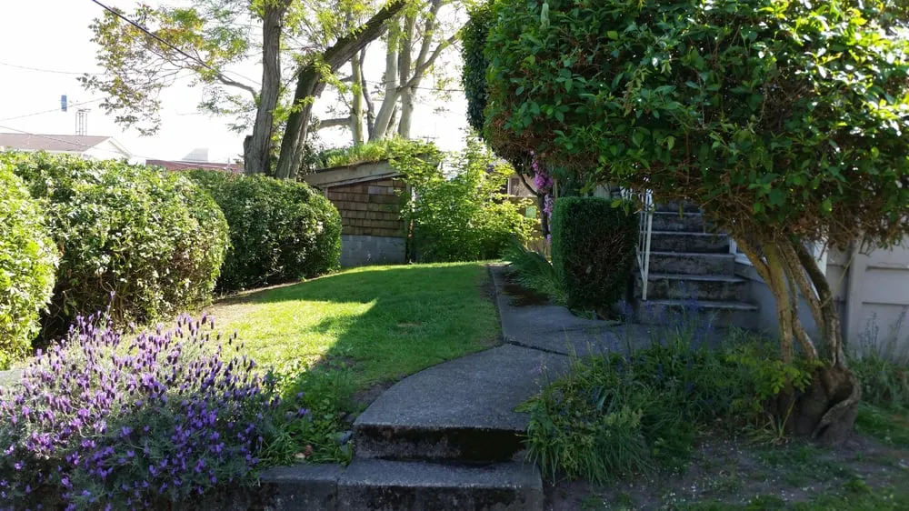 Trusted residential landscaping for homes across Kirkland, WA - Landscape To Perfection