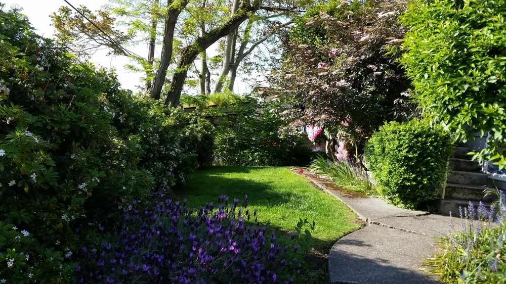 Trusted lawn mowing service in Kirkland, WA by Landscape To Perfection