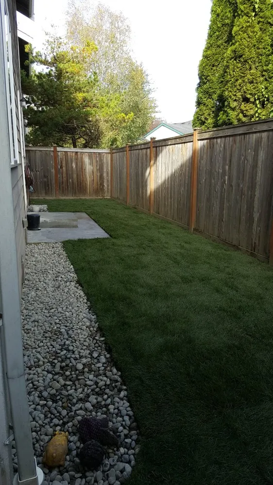 Top-rated yard maintenance near you across Kirkland, WA - Landscape To Perfection