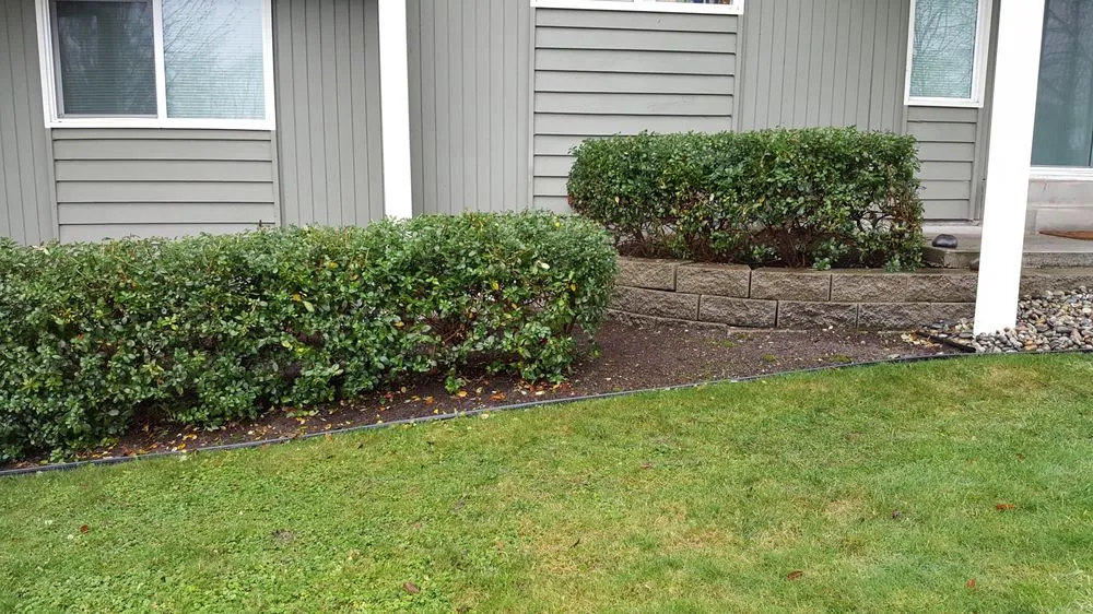 Top-rated lawn care service for residential properties in Kirkland, WA by Landscape To Perfection