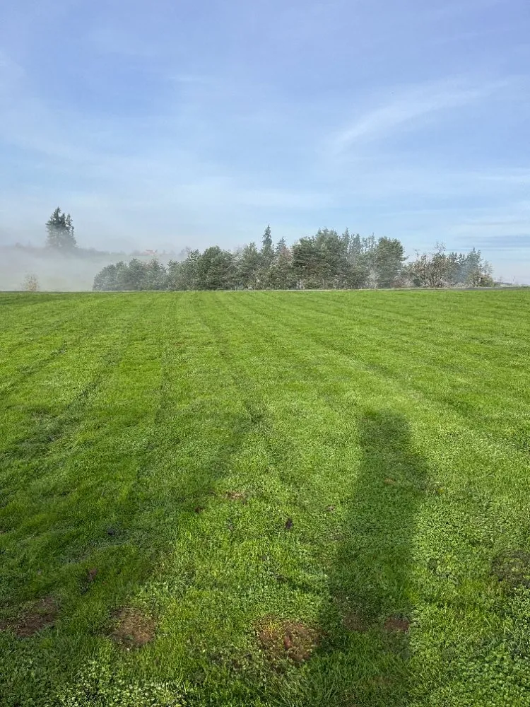 Top-rated lawn mowing service for residential properties across Keizer, OR - Landscape Torres