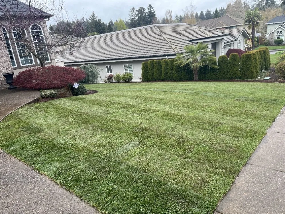 Local lawn care service for outdoor upgrades in Keizer, OR by Landscape Torres