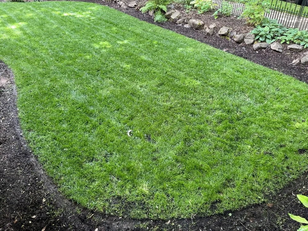 Custom yard maintenance in Keizer, OR by Landscape Torres