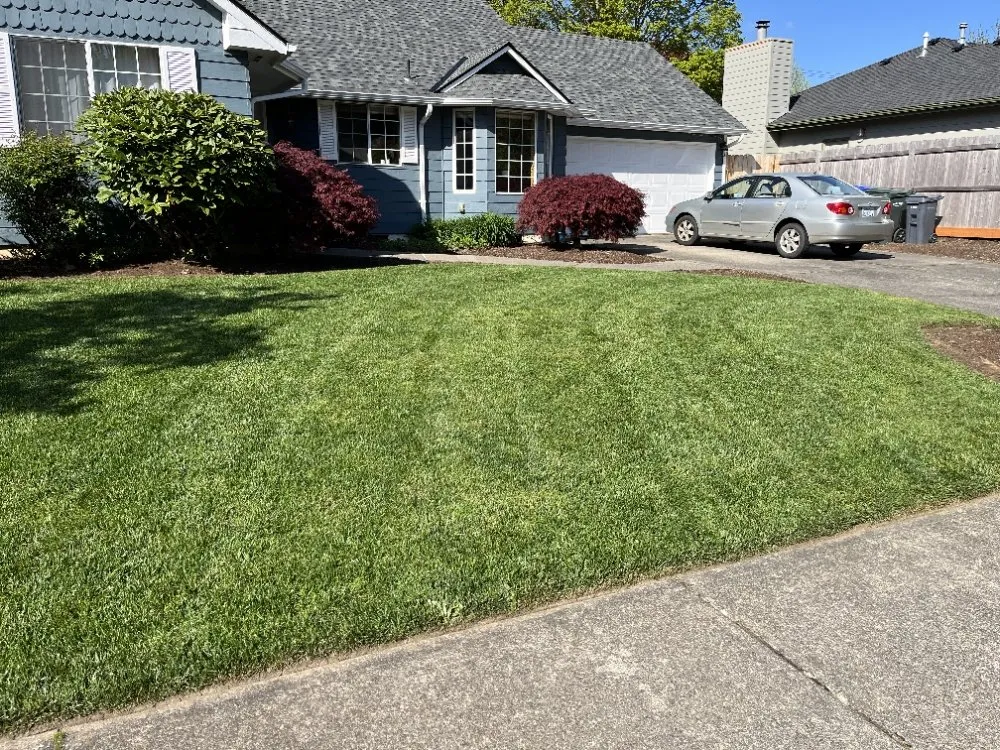 Trusted outdoor landscaping in Keizer, OR by Landscape Torres